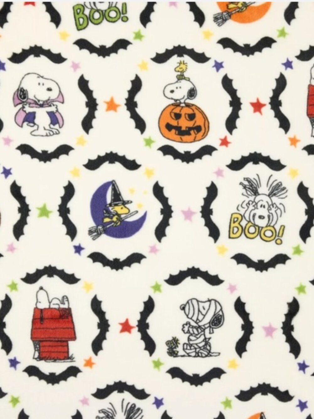 Peanuts new big one snoopy Halloween fall Charlie Brown blanket cozy oversized